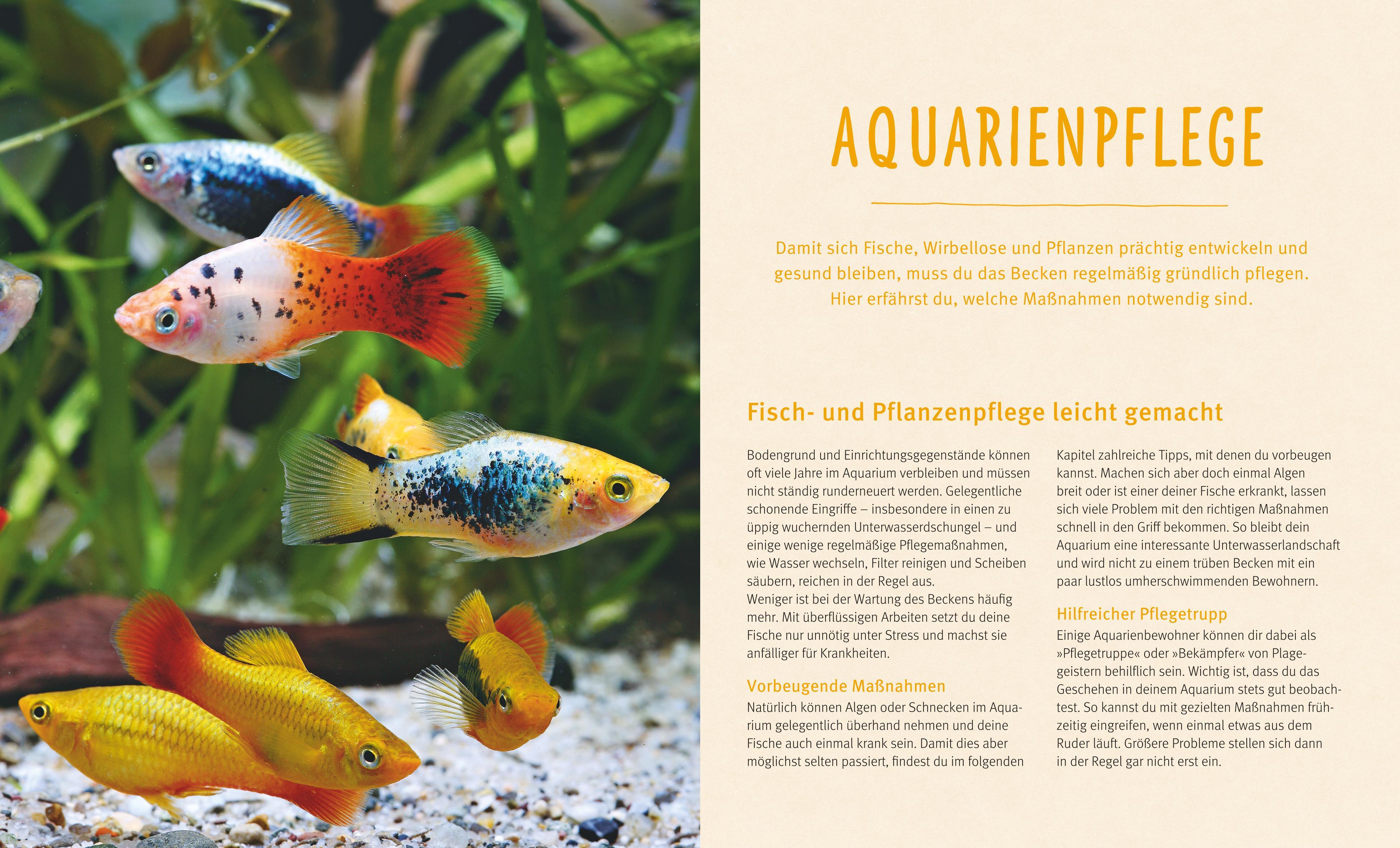 Aquarien - Spaß für Kinder