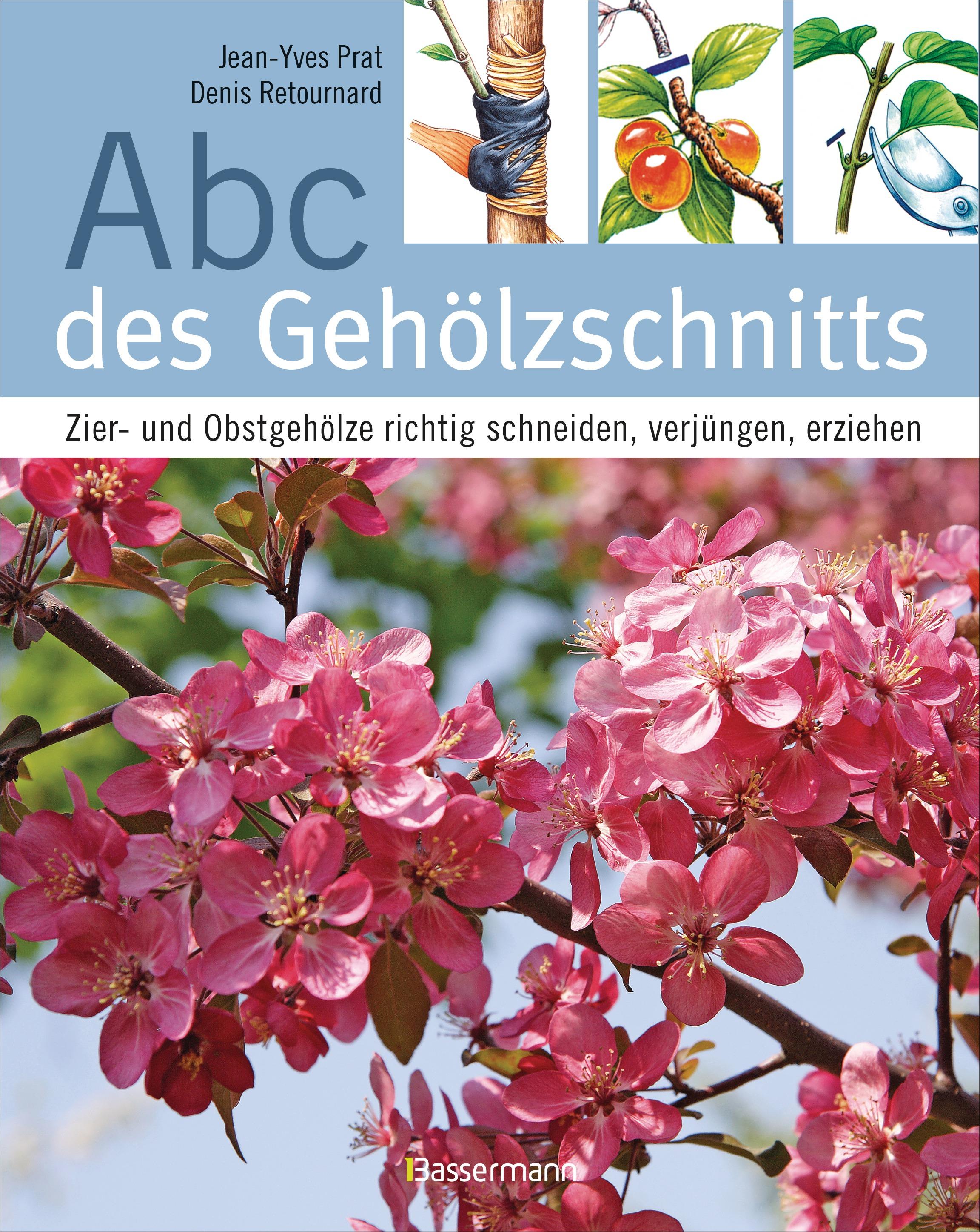 Abc des Gehölzschnitts