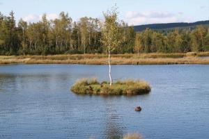 Kultur-Reiseführer Böhmerwald-Sumava (CR)