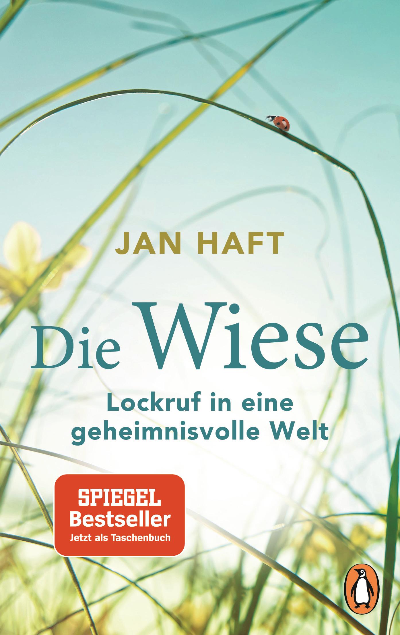 Die Wiese