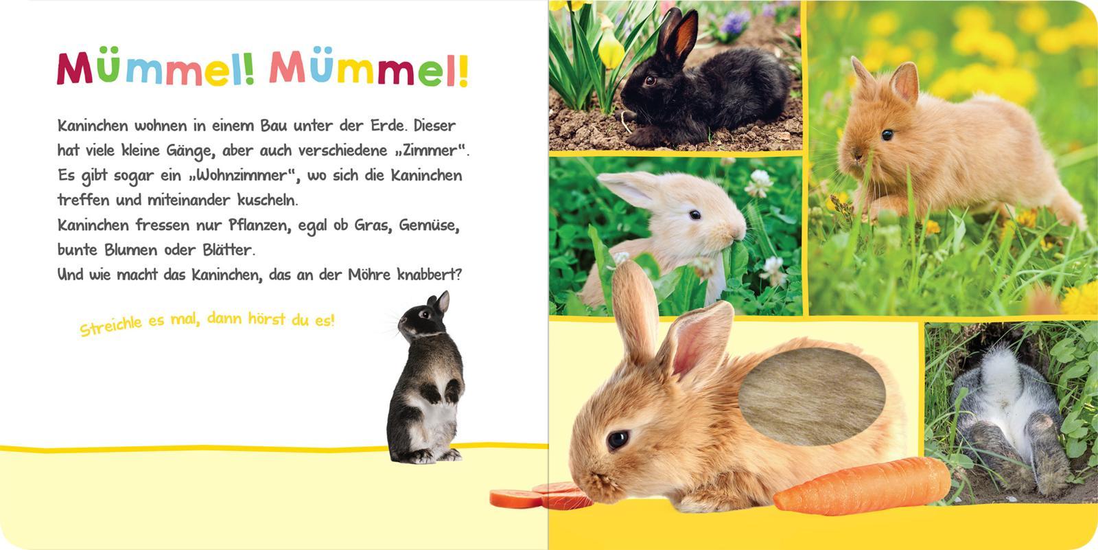 Hör mal rein, wer kann das sein? - Im Frühling