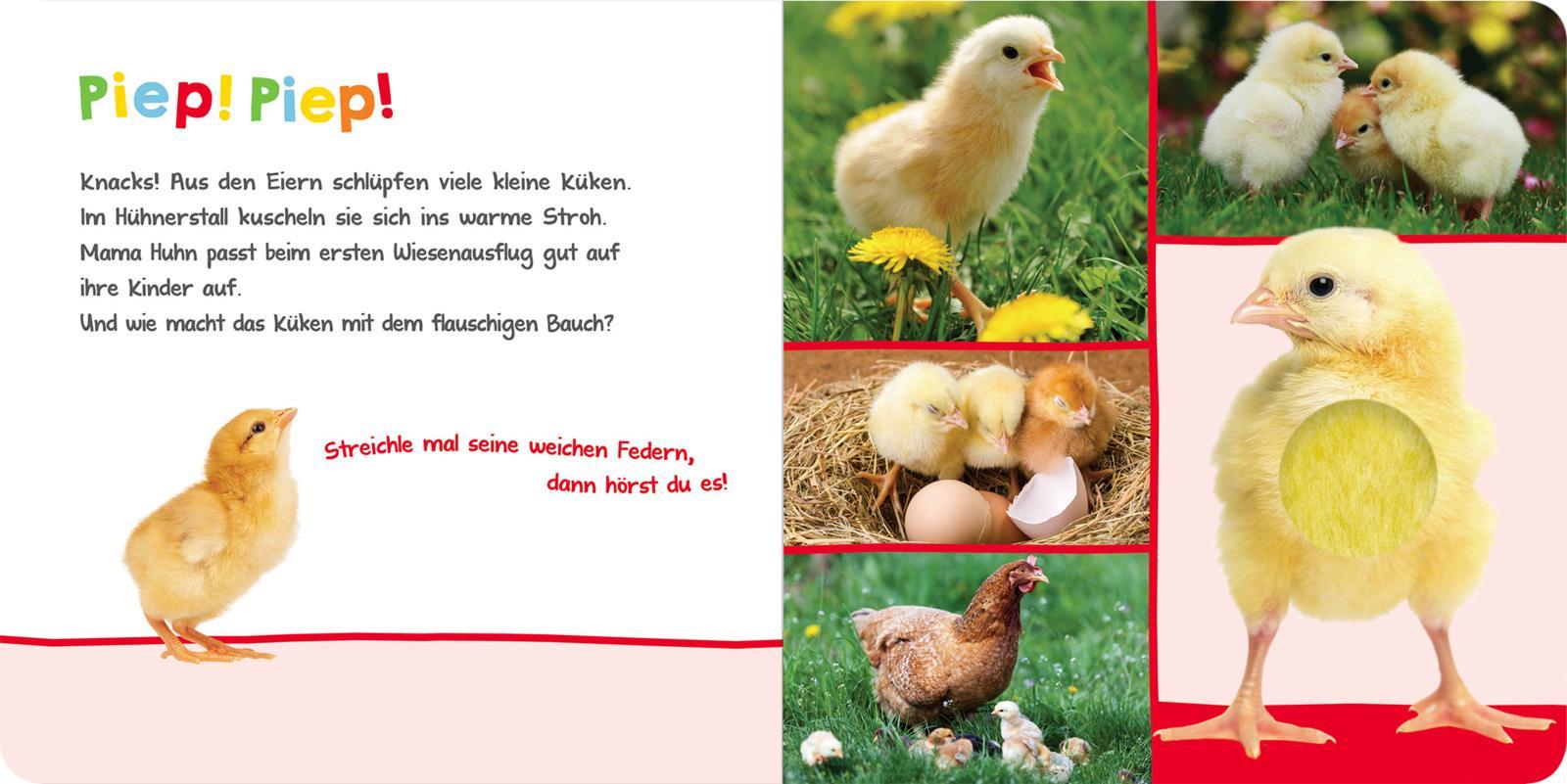 Hör mal rein, wer kann das sein? - Im Frühling