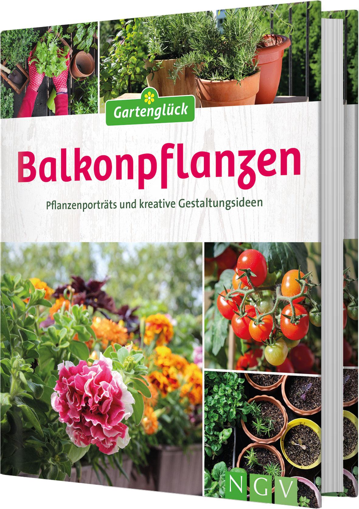 Balkonpflanzen