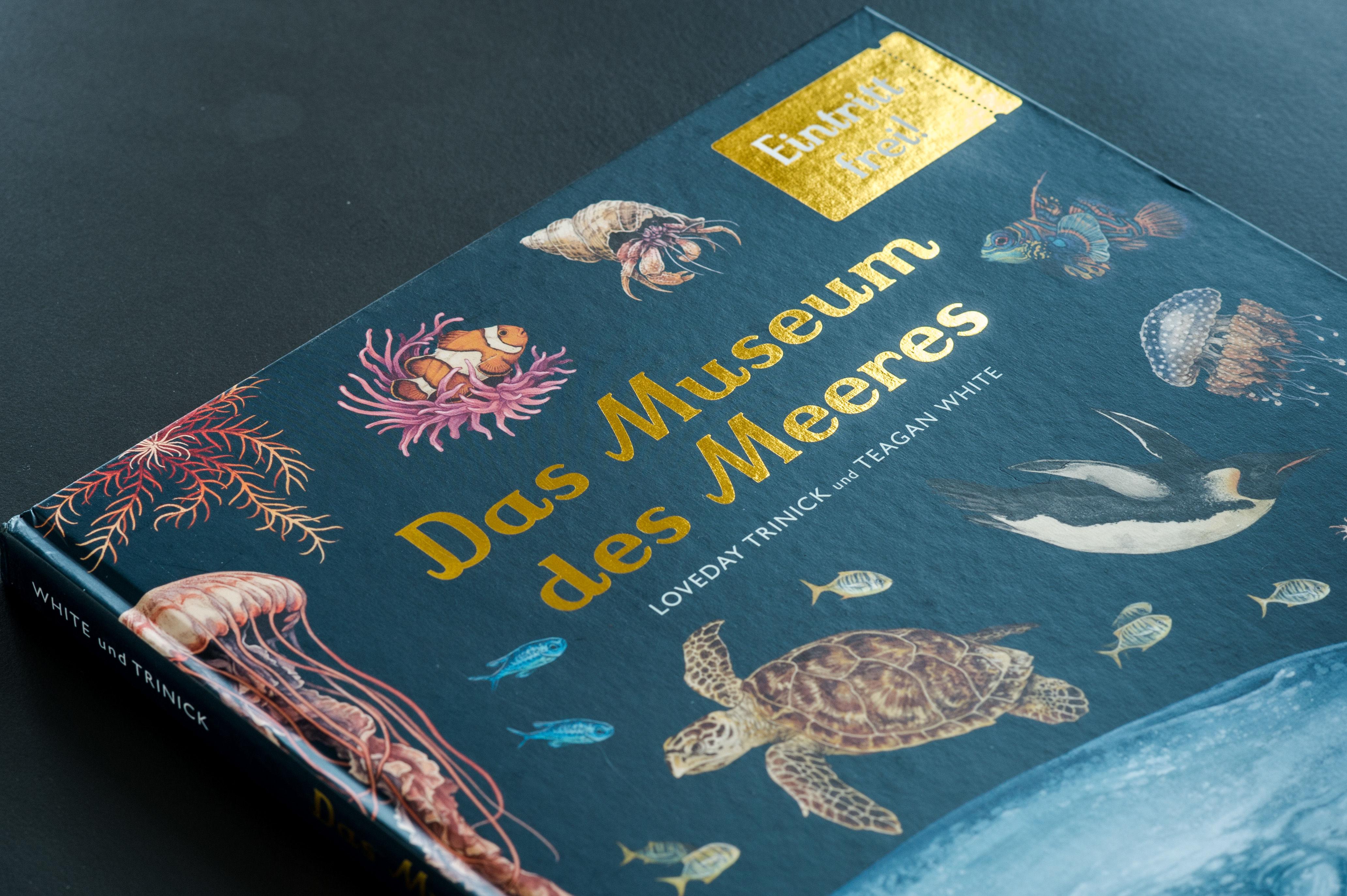 Das Museum des Meeres