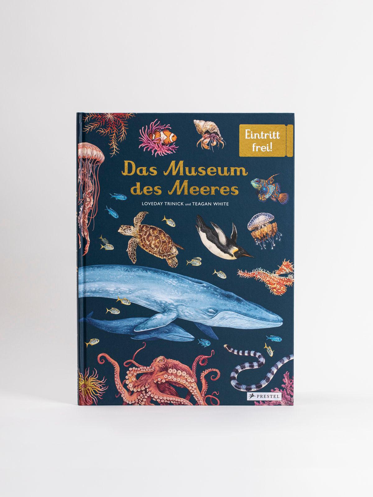 Das Museum des Meeres