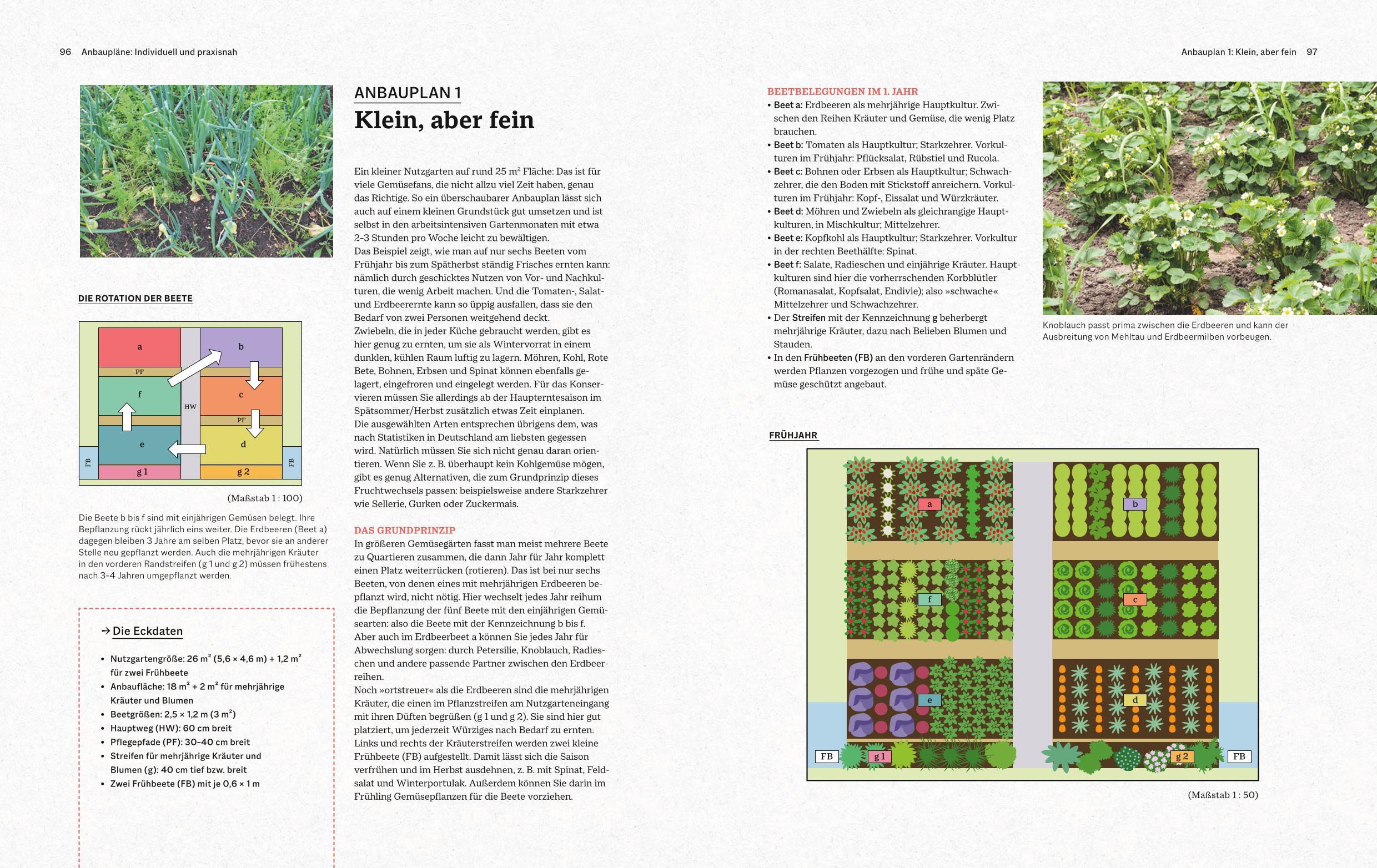 Das große BLV Handbuch Gemüse-Anbauplanung