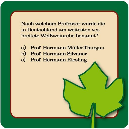 Wein-Quiz (Neuauflage)