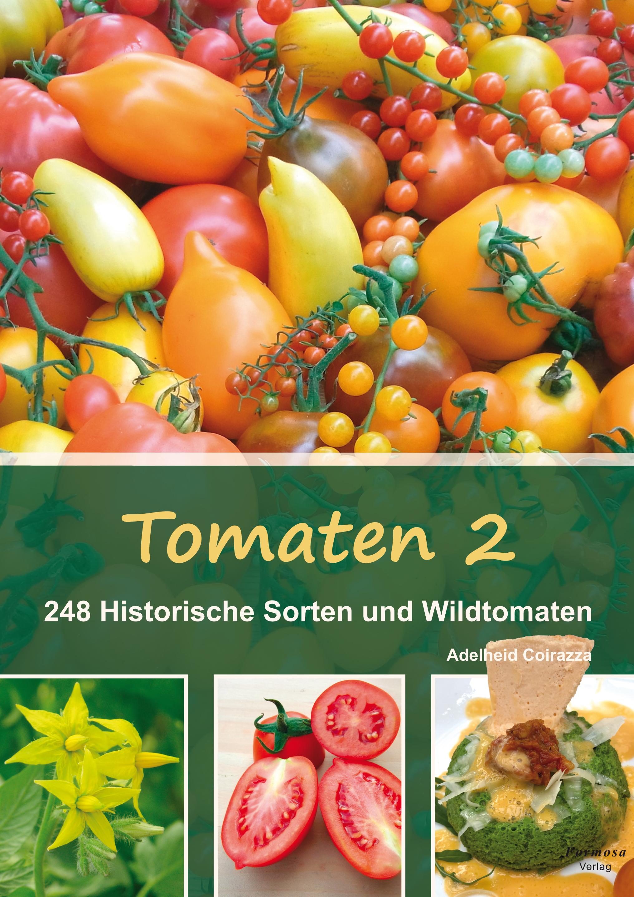 Tomaten 2