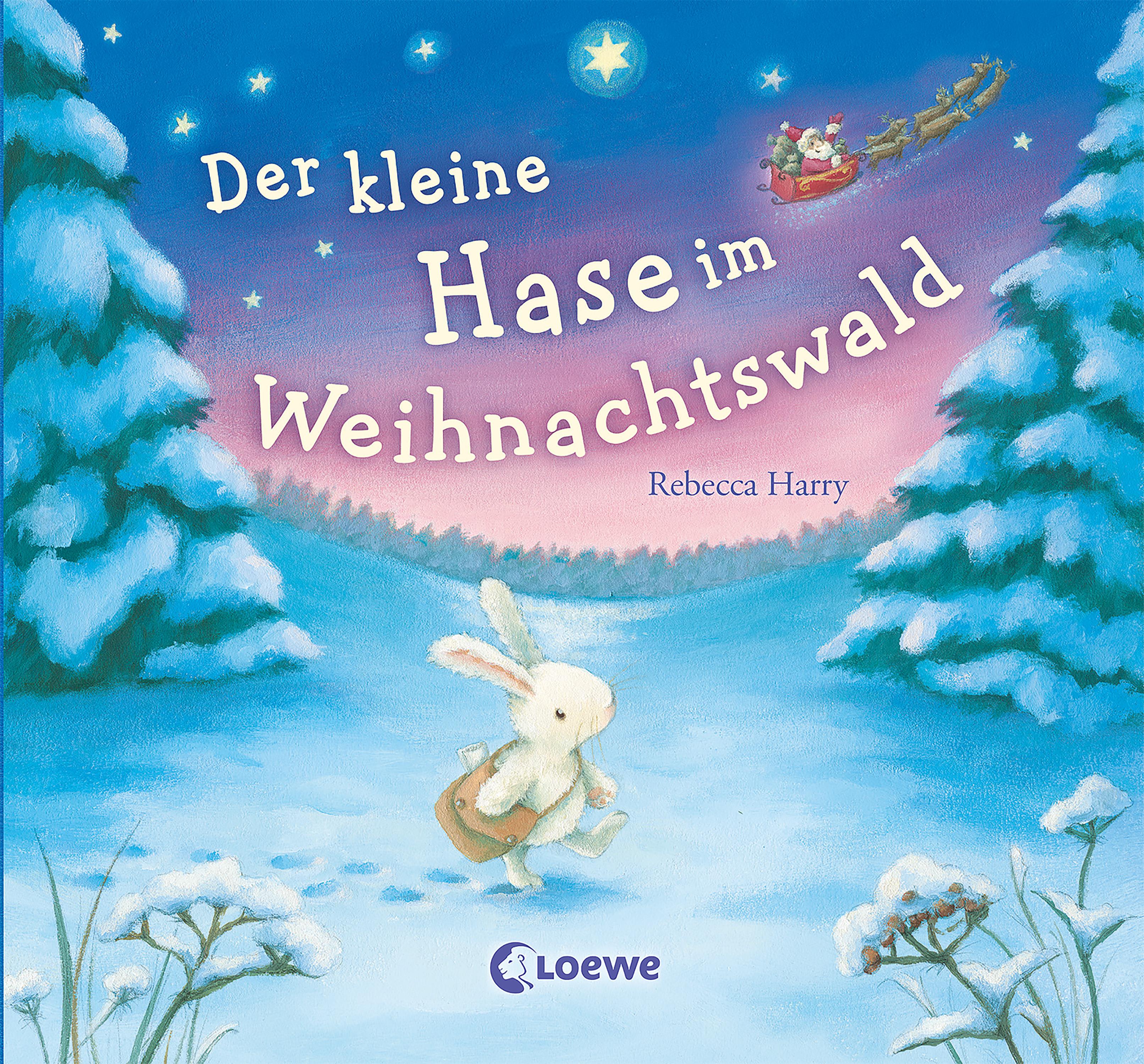 Der kleine Hase im Weihnachtswald