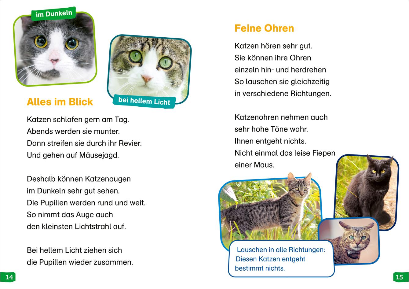 WAS IST WAS Erstes Lesen easy! Band 10. Katzen - meine Lieblingstiere