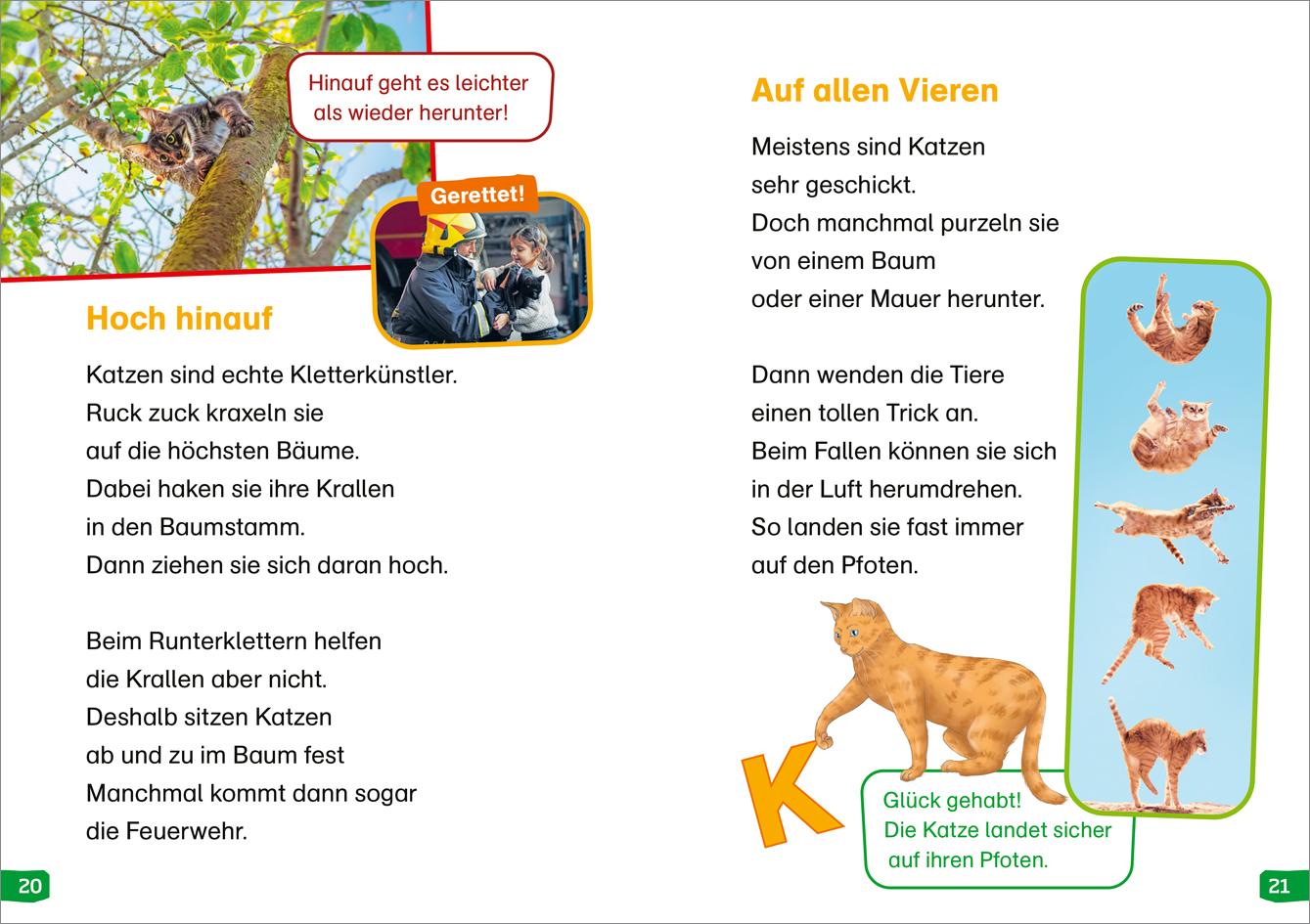 WAS IST WAS Erstes Lesen easy! Band 10. Katzen - meine Lieblingstiere