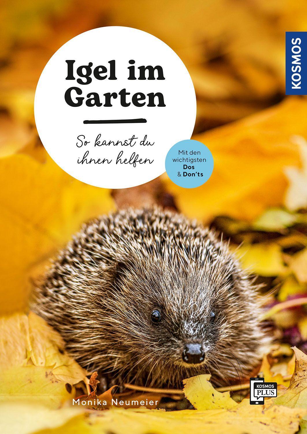 Igel im Garten