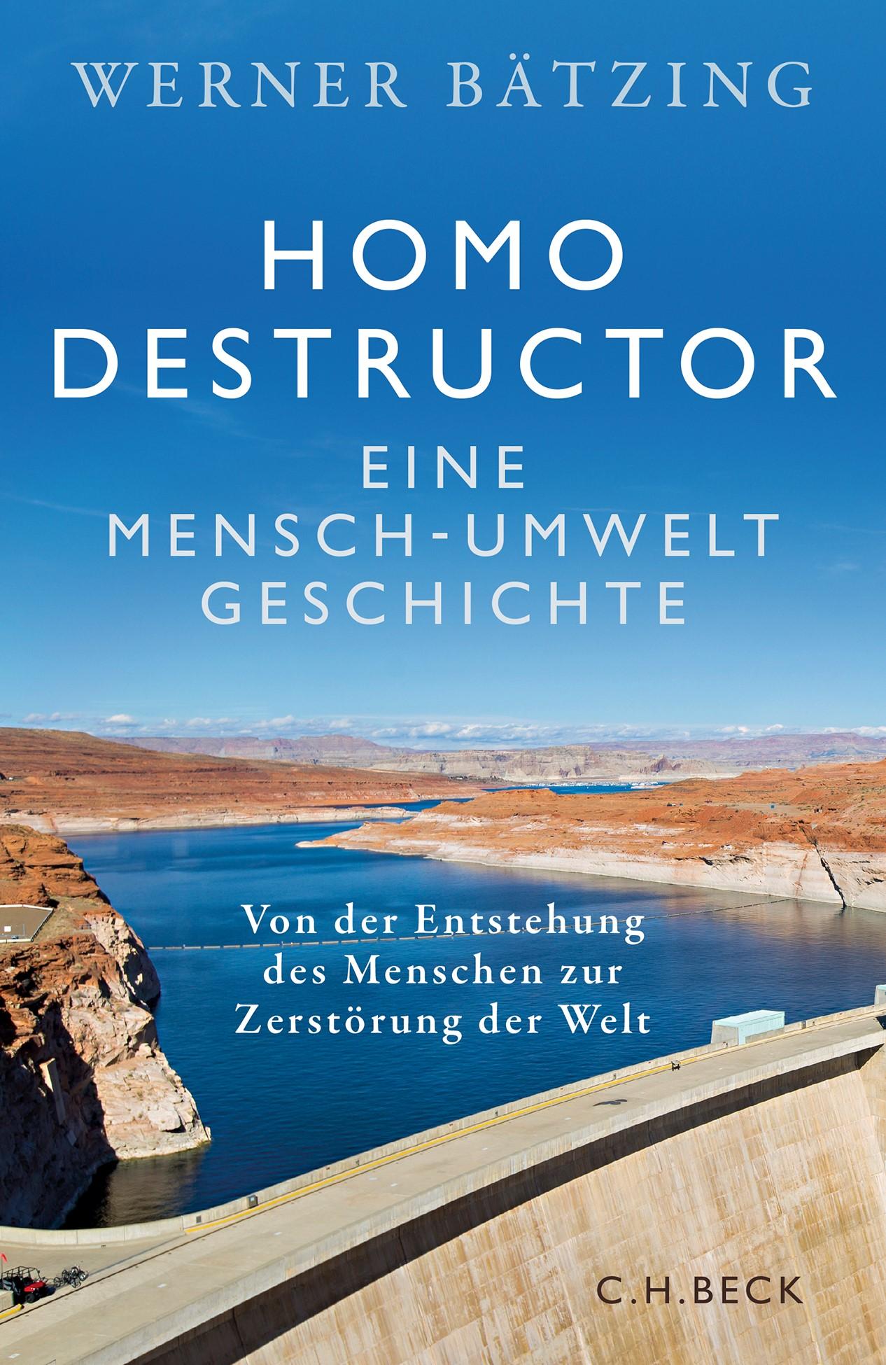 Homo destructor