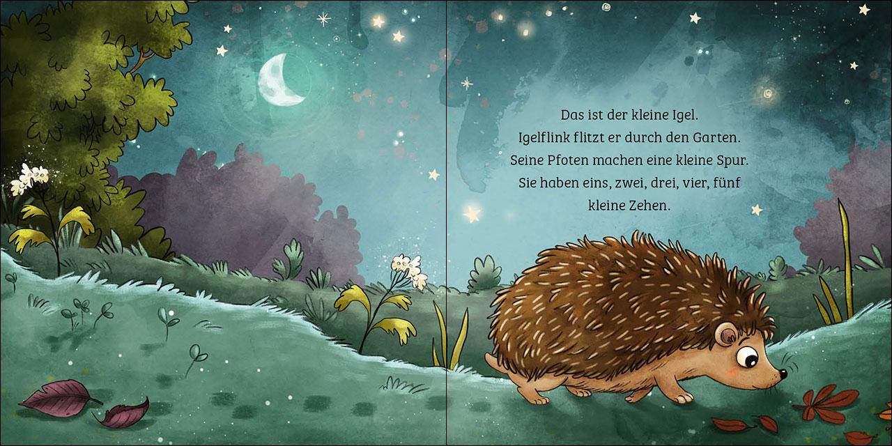 Mein erstes Naturbuch - Der Igel