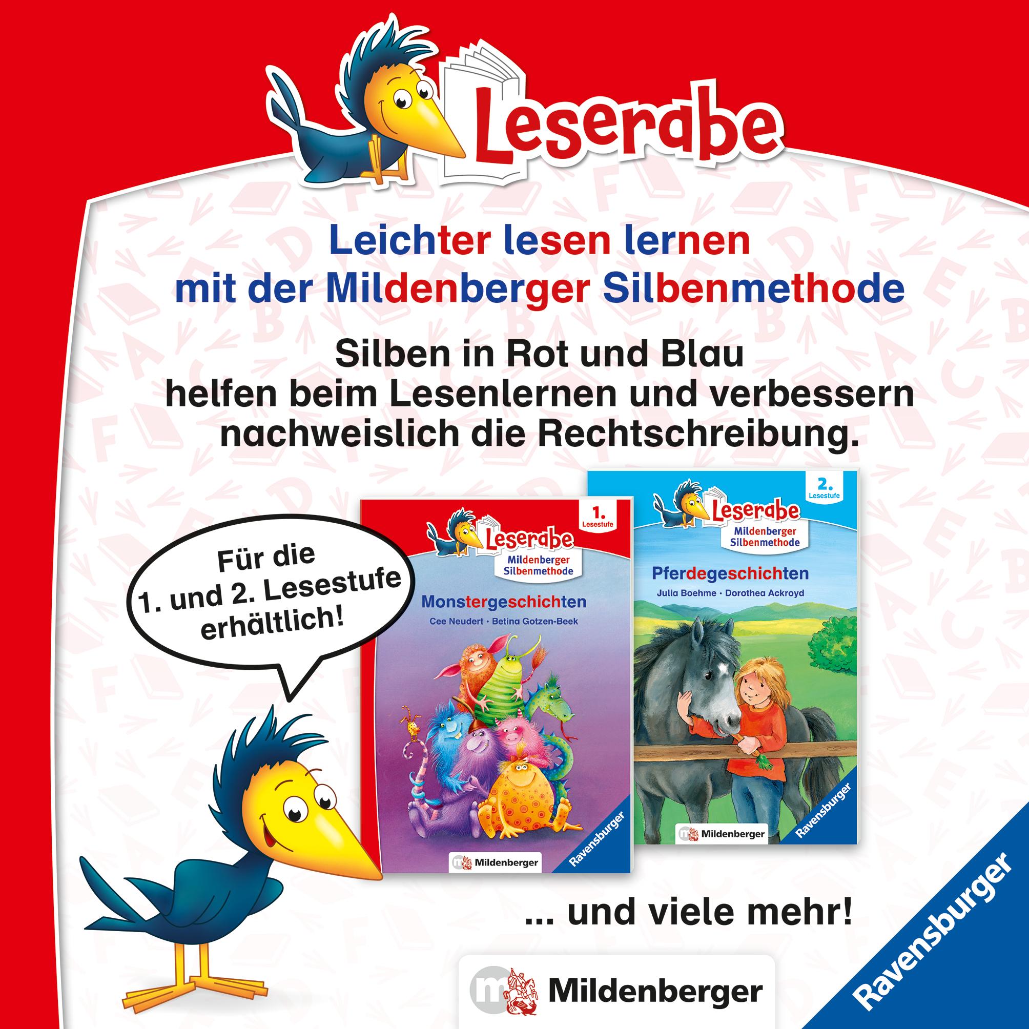 Ein fantastischer Geburtstag - lesen lernen mit dem Leserabe - Erstlesebuch - Kinderbuch ab 6 Jahren - Lesen lernen 1. Klasse Jungen und Mädchen (Leserabe 1. Klasse)