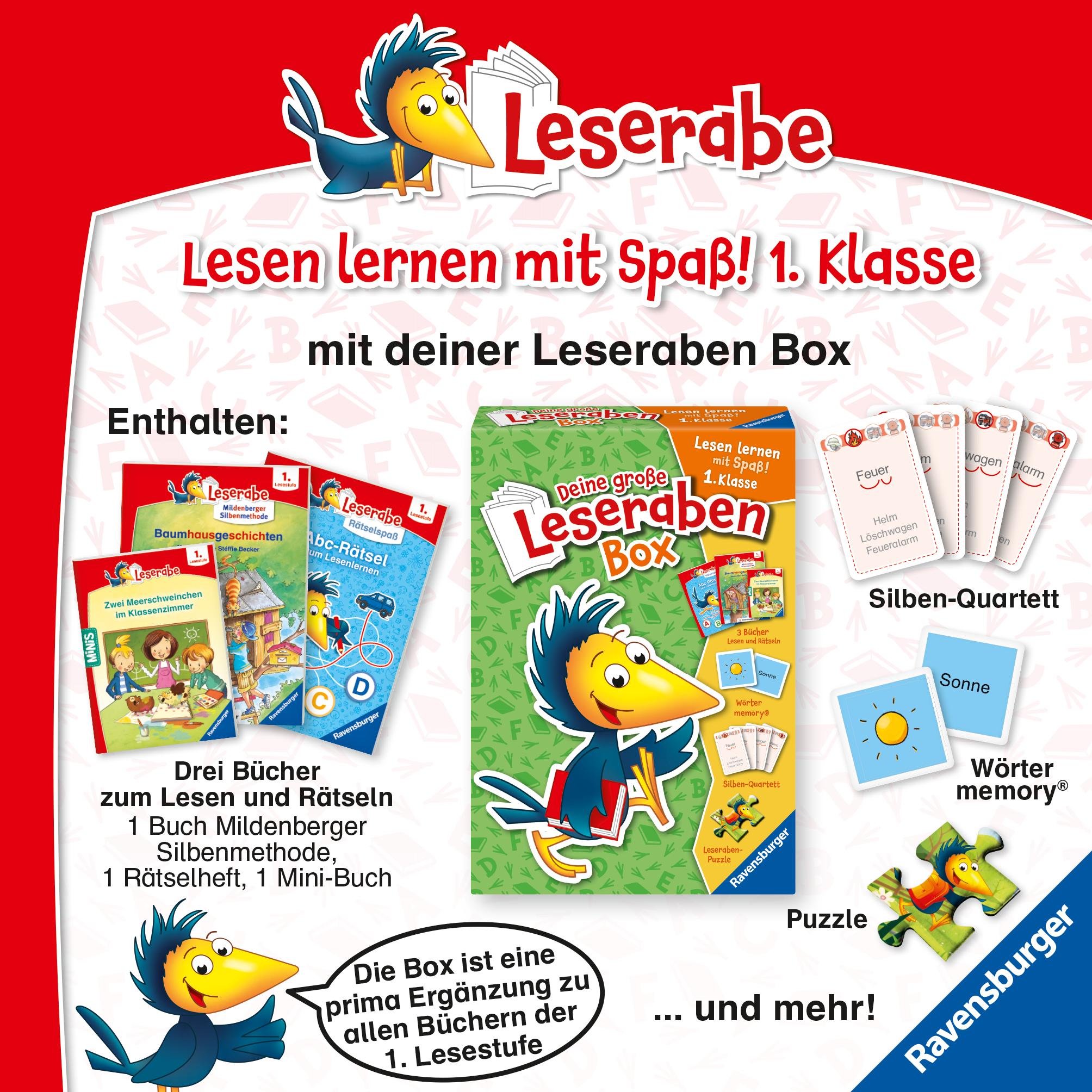 Ein fantastischer Geburtstag - lesen lernen mit dem Leserabe - Erstlesebuch - Kinderbuch ab 6 Jahren - Lesen lernen 1. Klasse Jungen und Mädchen (Leserabe 1. Klasse)