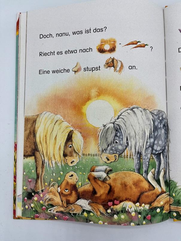 Pepe, das kleine Zauberpony