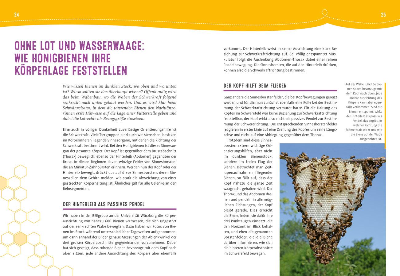 Auch Bienen haben Schweißfüße