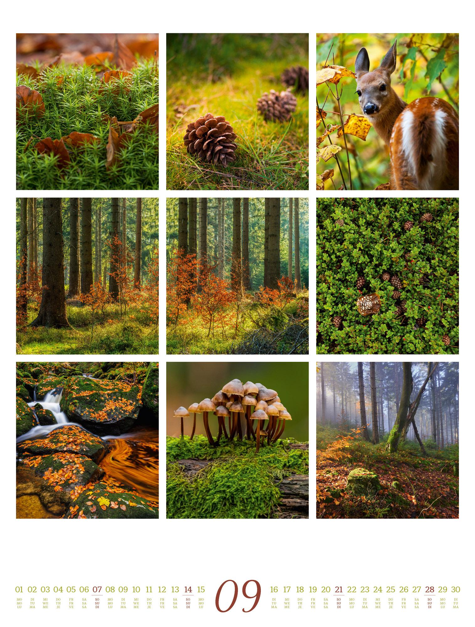 Inspiration Natur Kalender 2025