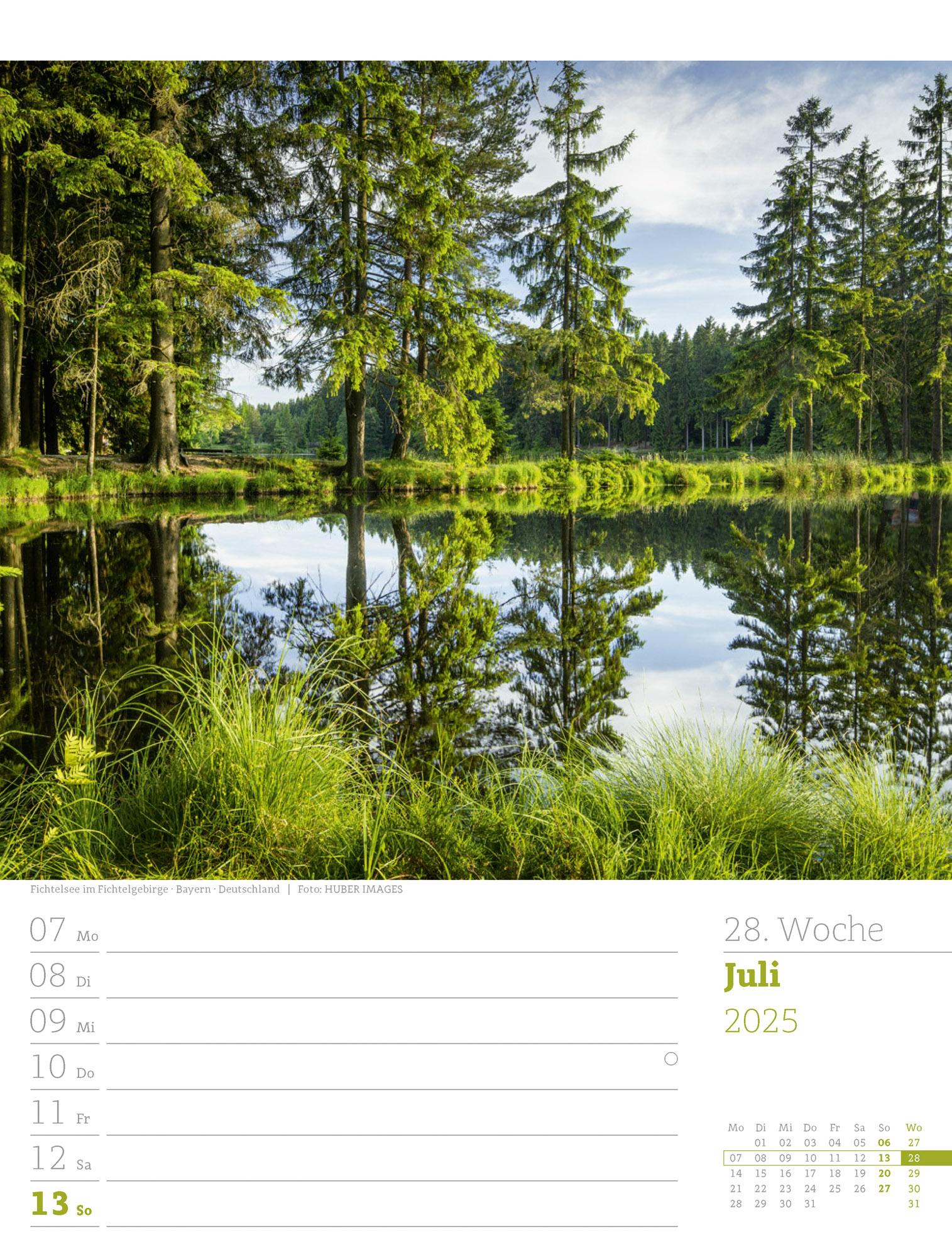 Unser Wald - Wochenplaner Kalender 2025