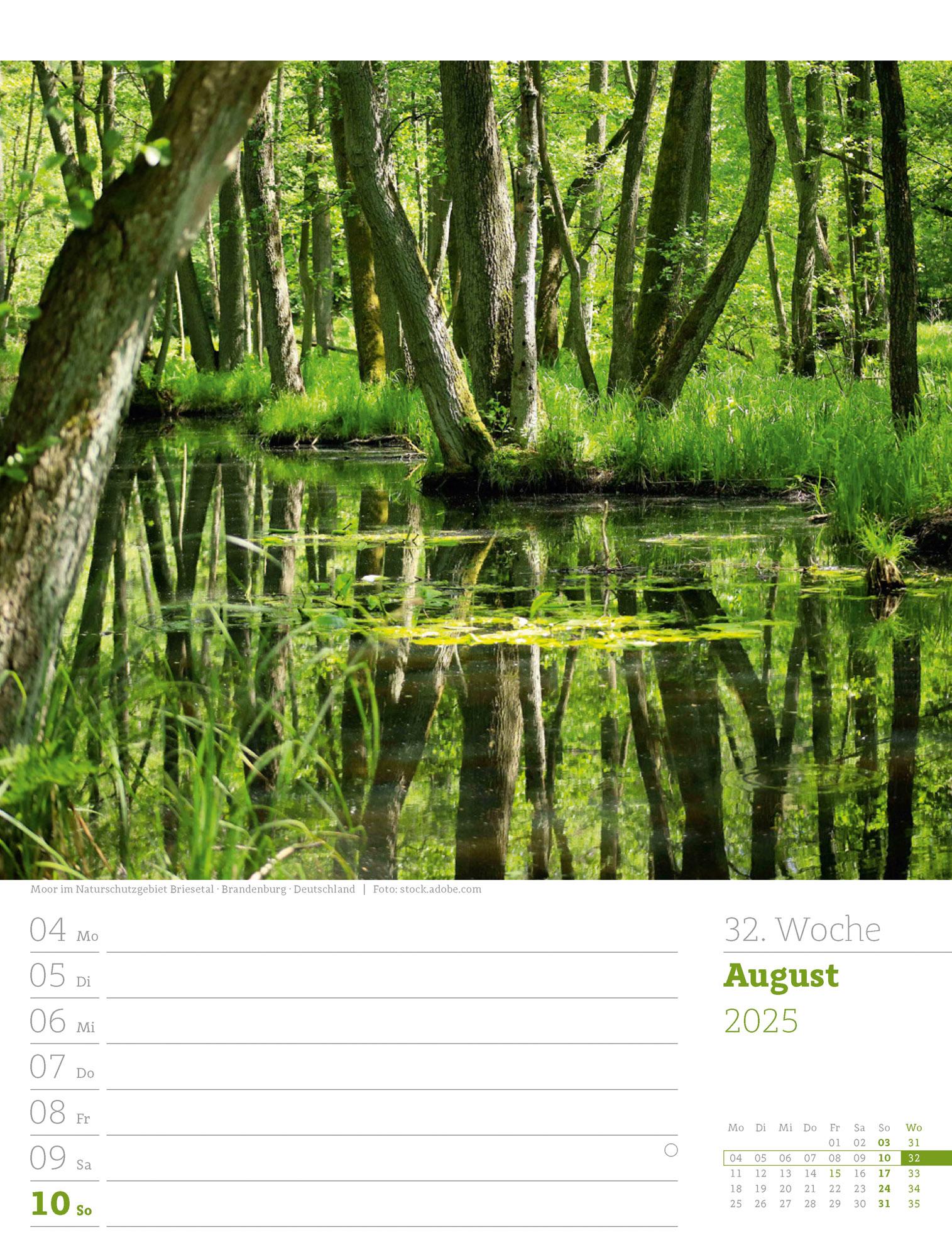 Unser Wald - Wochenplaner Kalender 2025