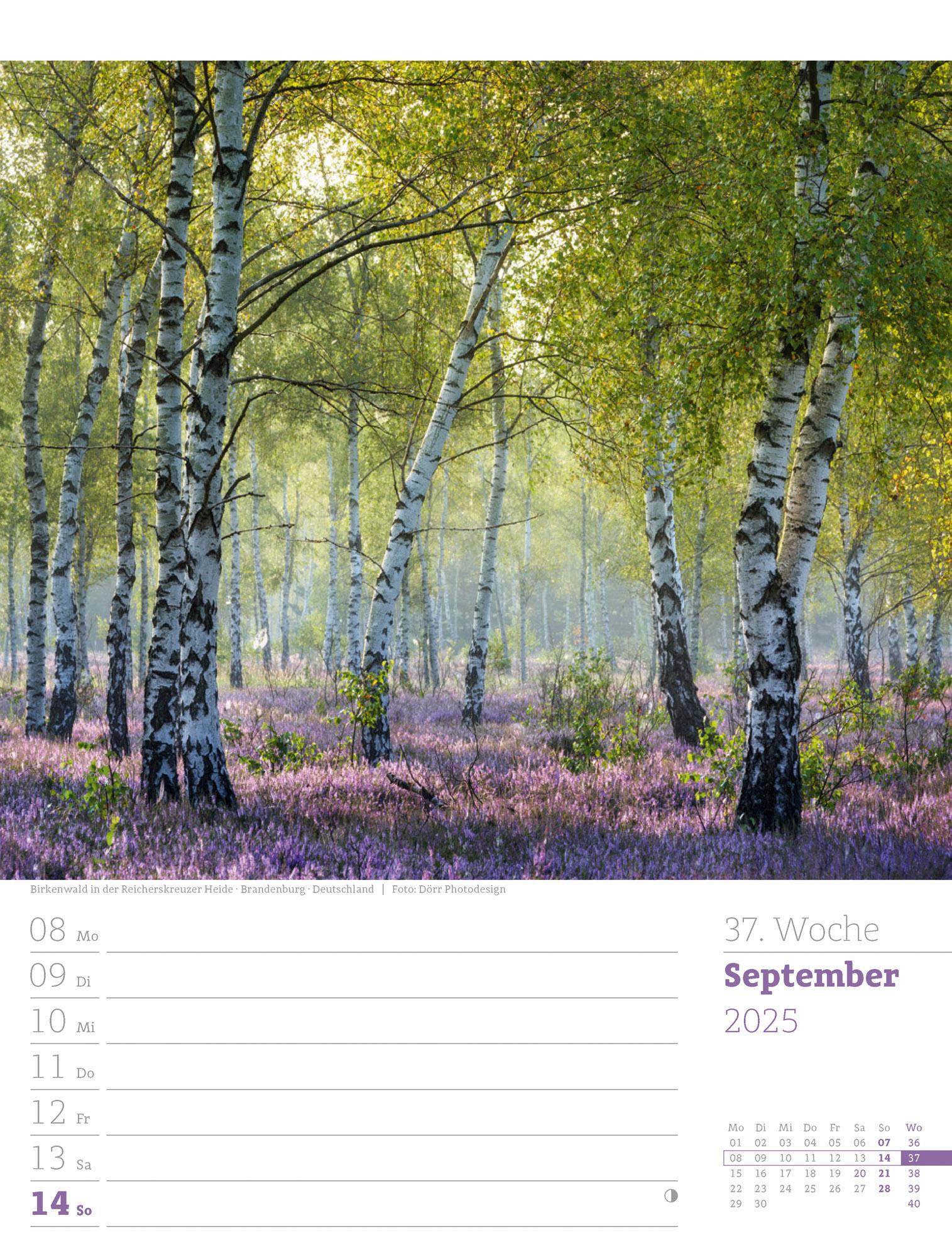 Unser Wald - Wochenplaner Kalender 2025