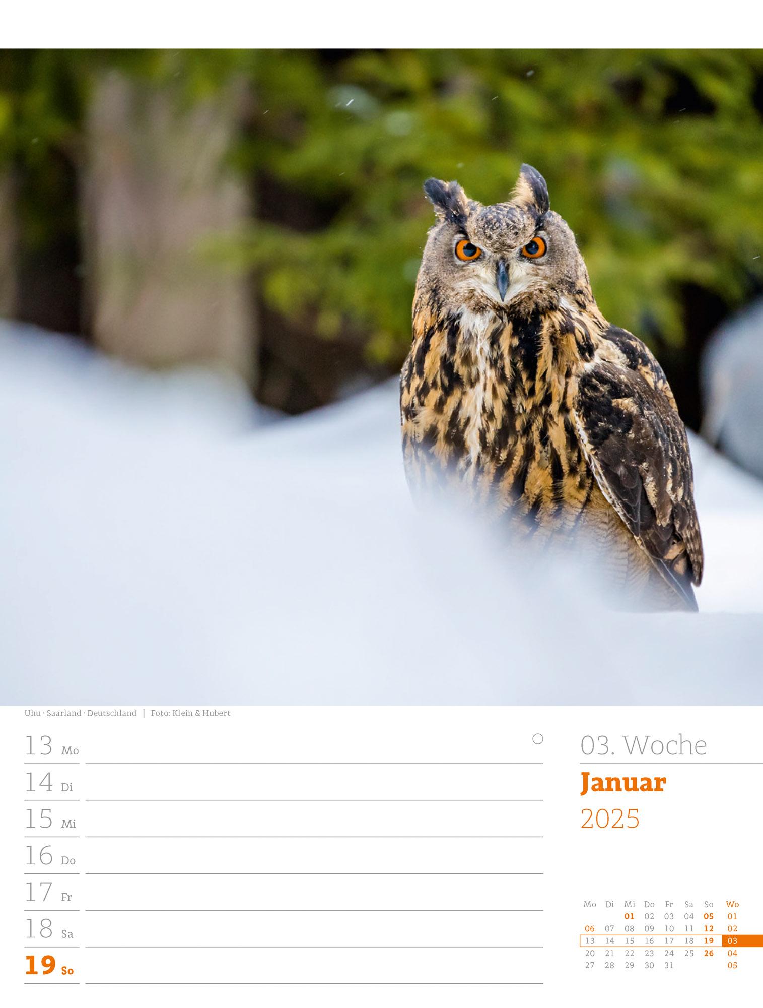 Unser Wald - Wochenplaner Kalender 2025