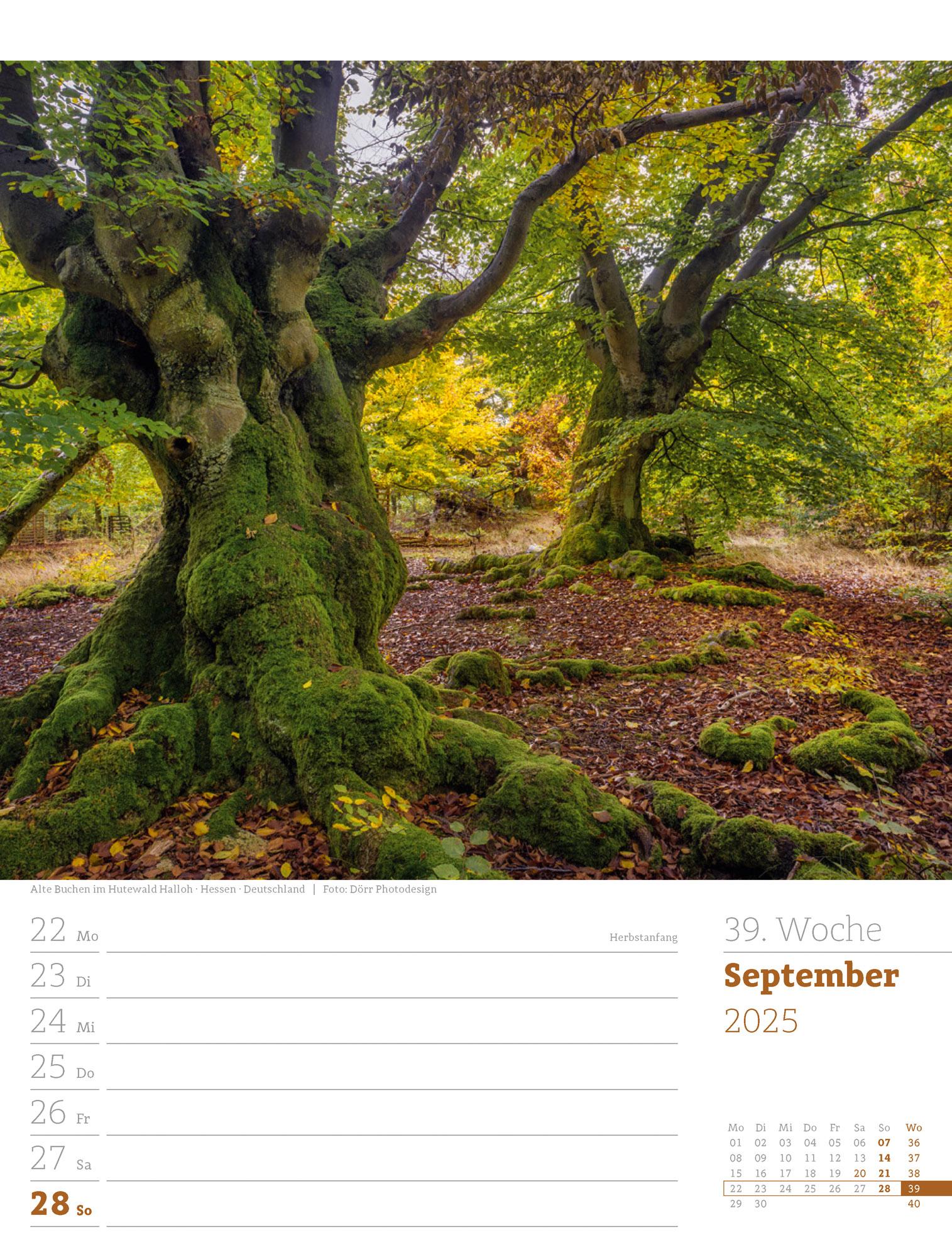 Unser Wald - Wochenplaner Kalender 2025