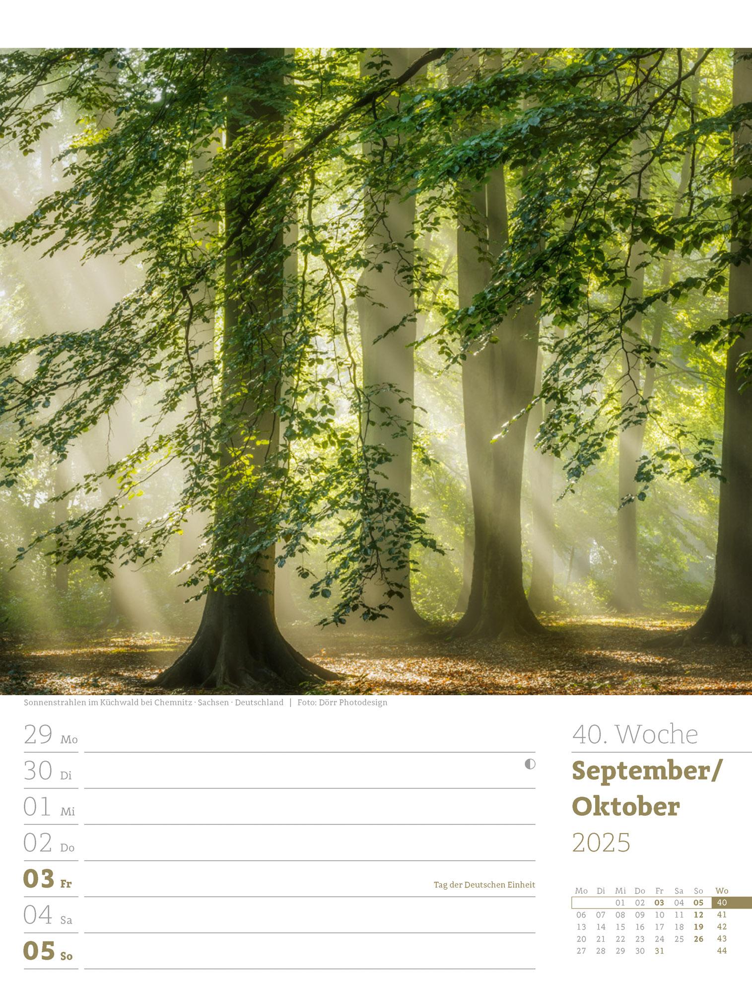 Unser Wald - Wochenplaner Kalender 2025