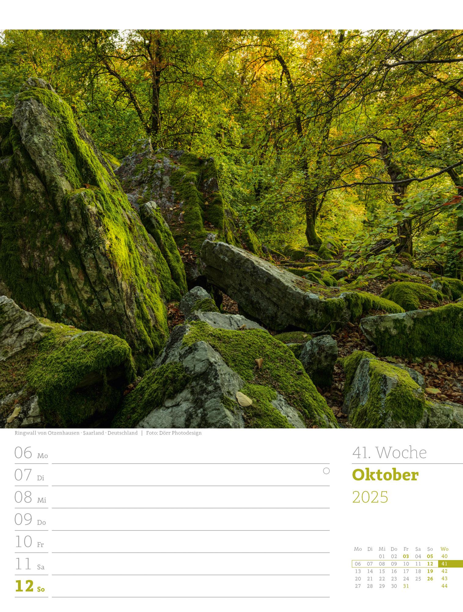 Unser Wald - Wochenplaner Kalender 2025