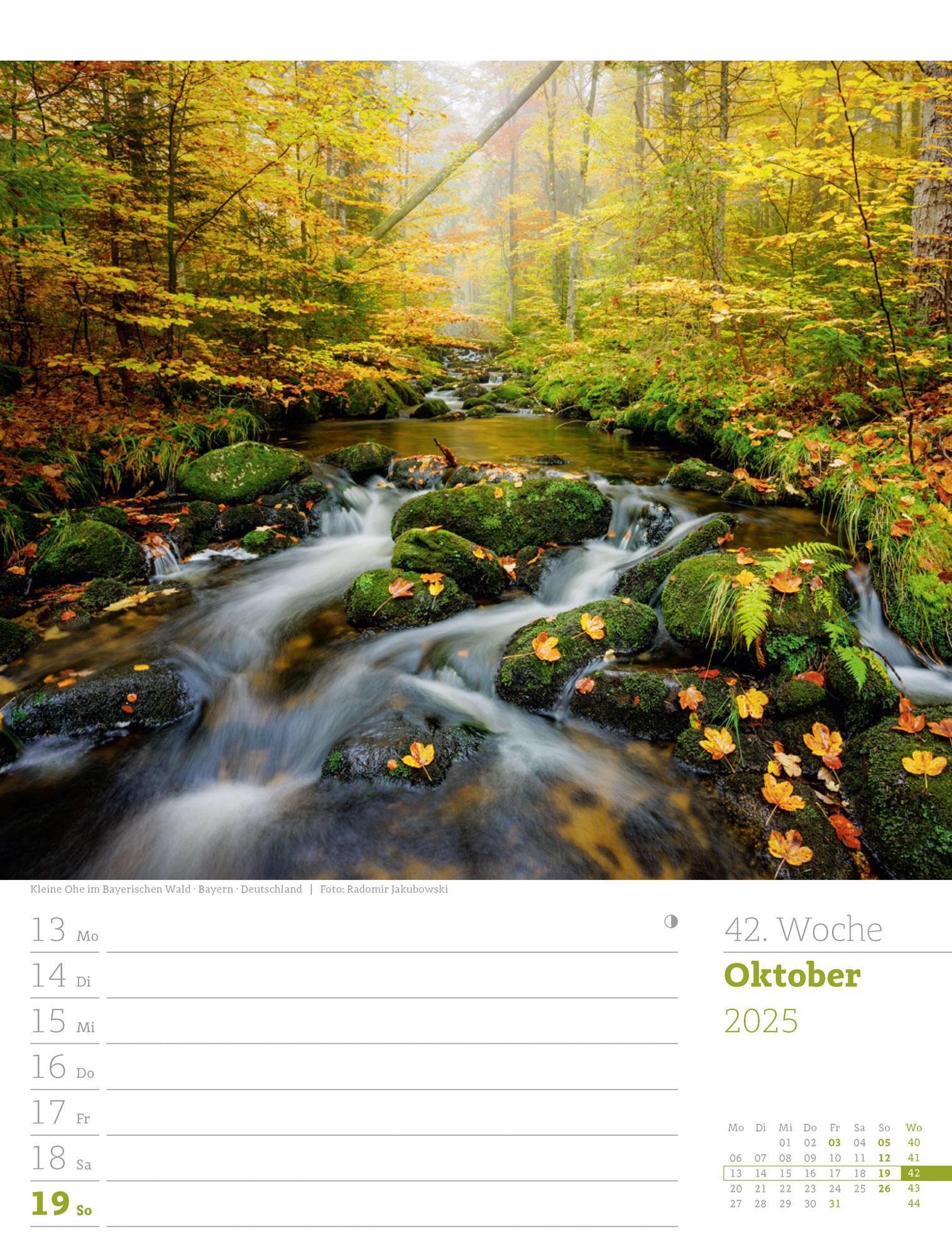 Unser Wald - Wochenplaner Kalender 2025