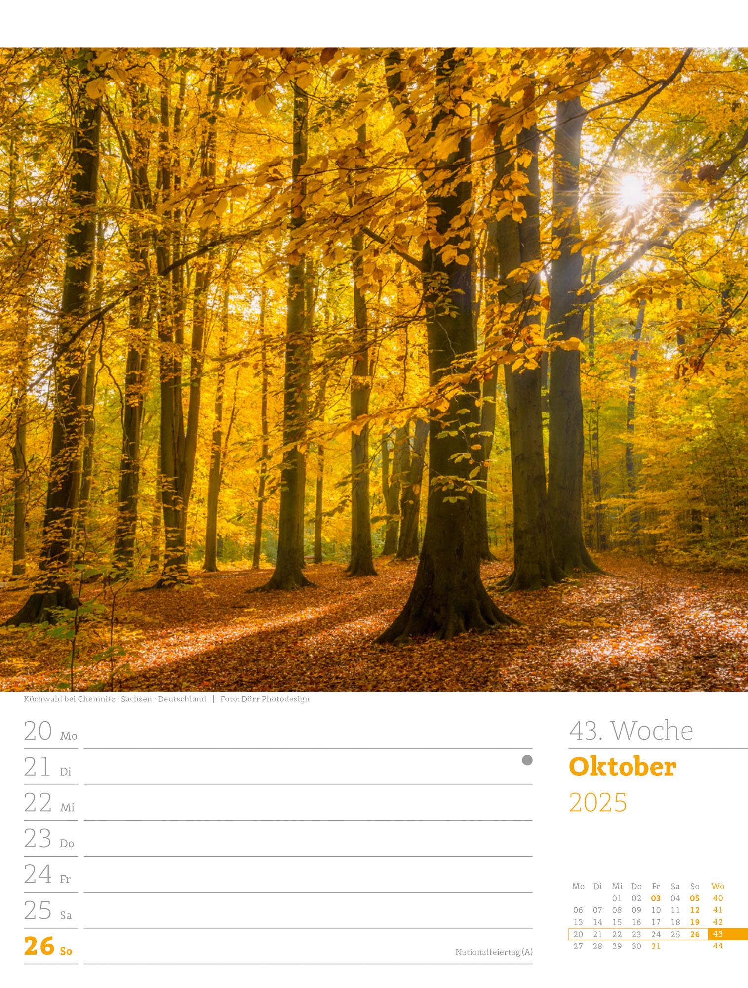 Unser Wald - Wochenplaner Kalender 2025