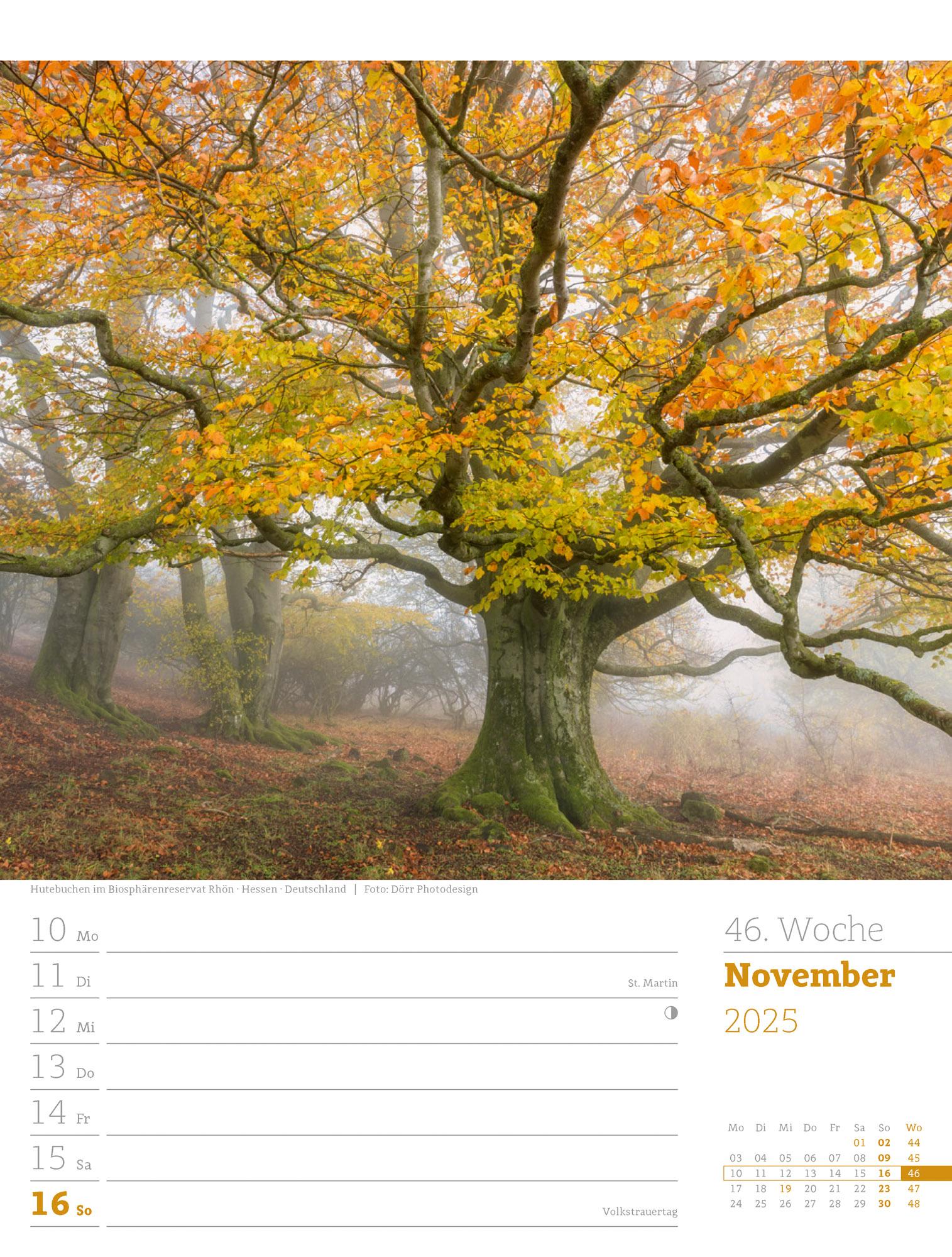 Unser Wald - Wochenplaner Kalender 2025