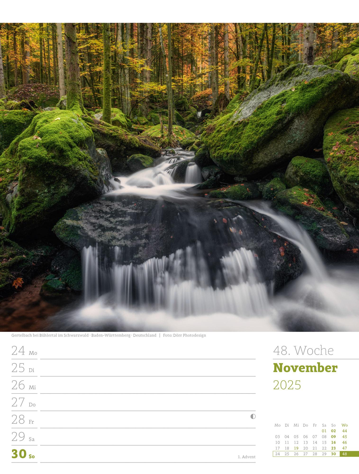 Unser Wald - Wochenplaner Kalender 2025