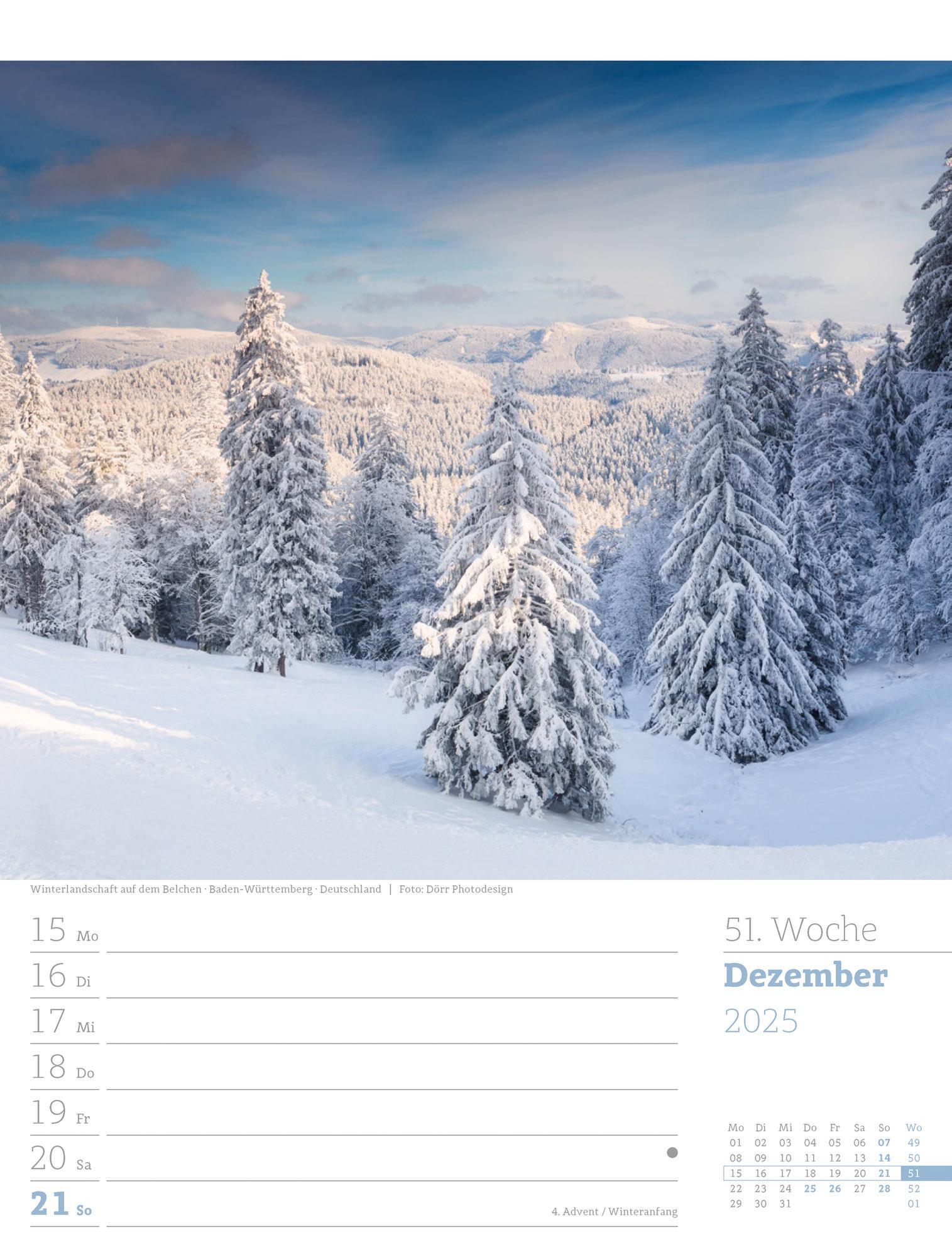 Unser Wald - Wochenplaner Kalender 2025