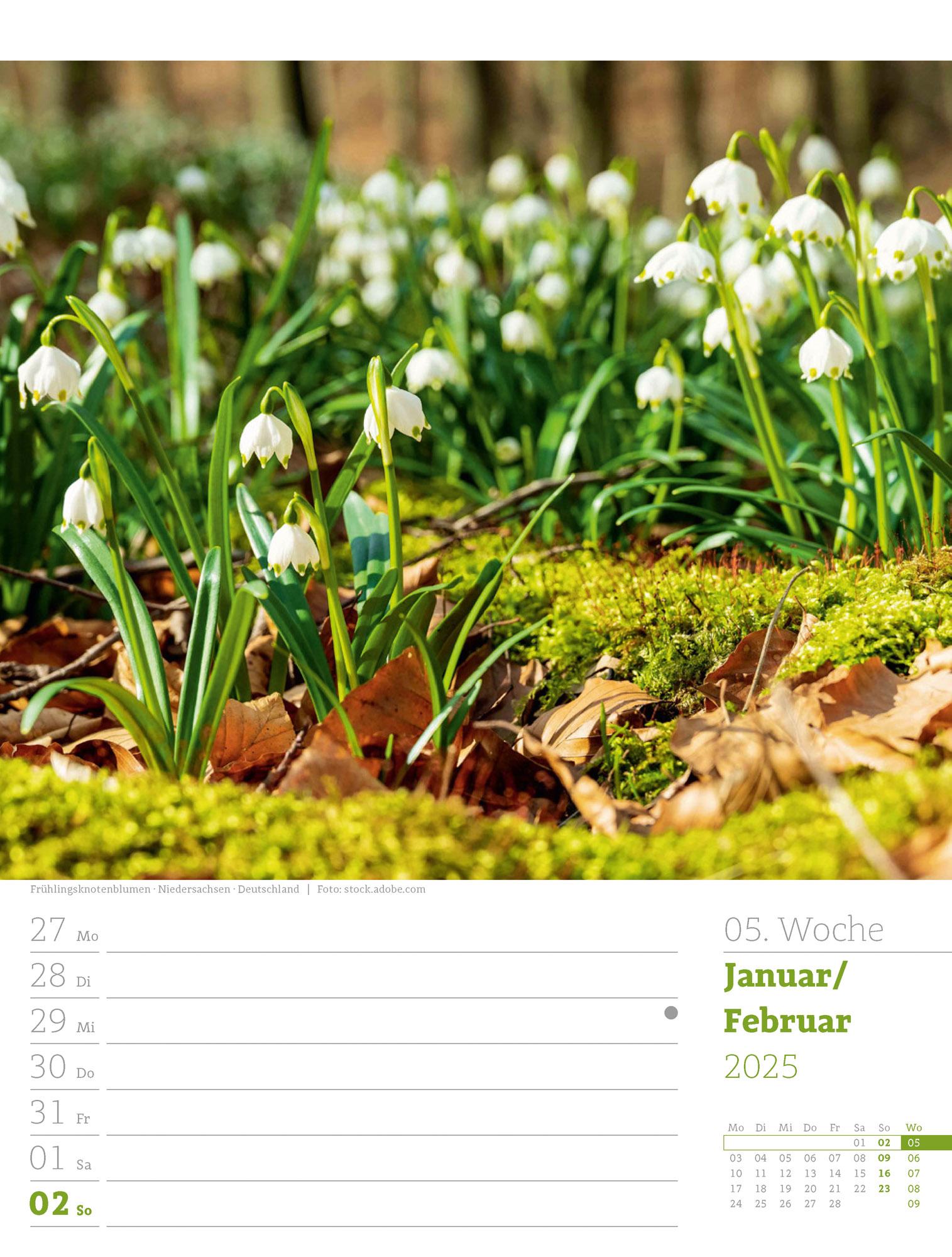 Unser Wald - Wochenplaner Kalender 2025