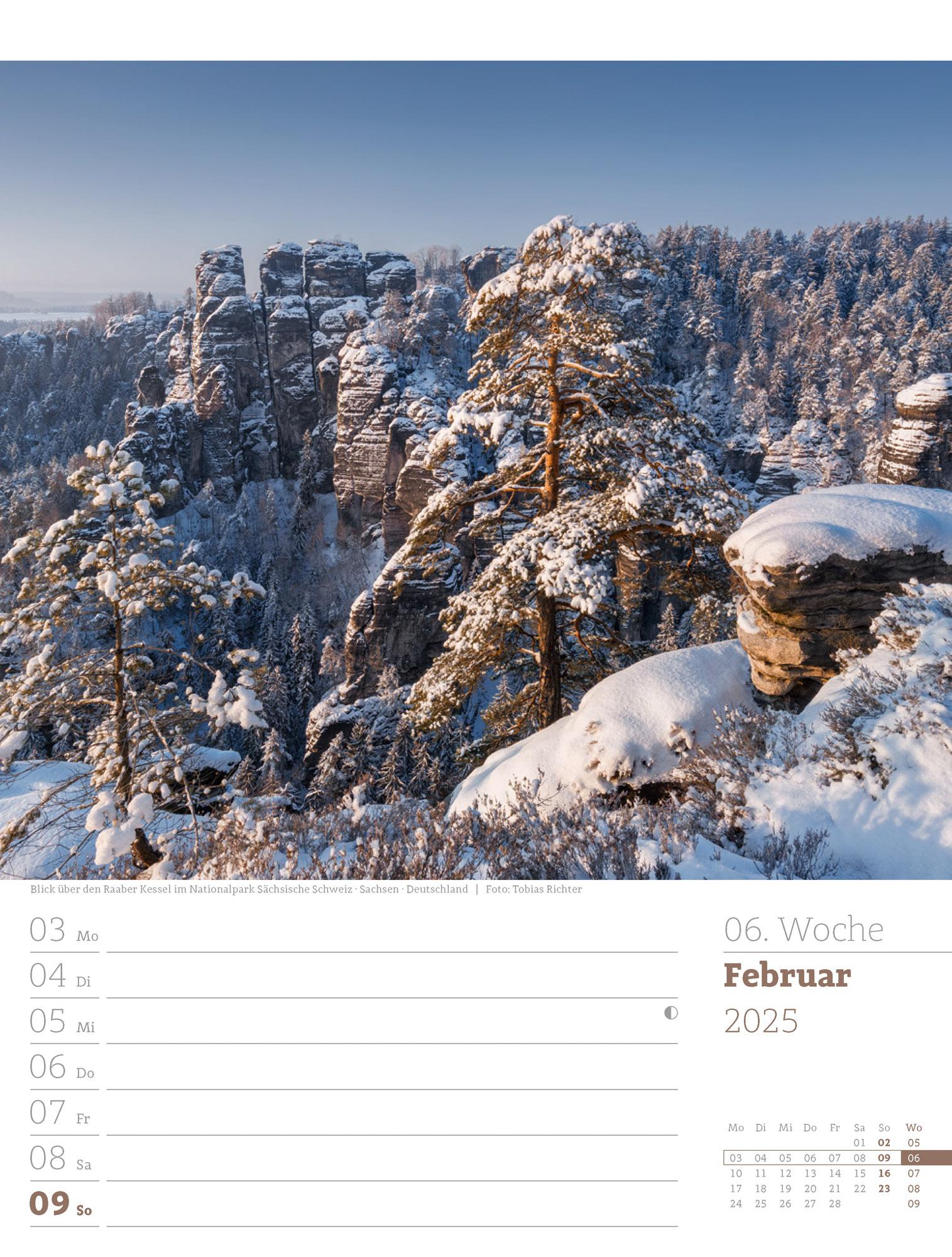 Unser Wald - Wochenplaner Kalender 2025