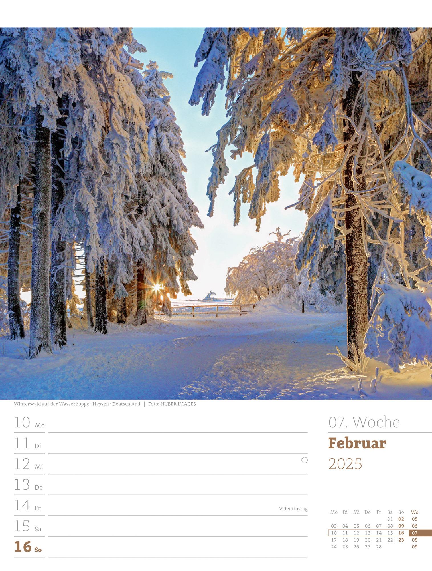 Unser Wald - Wochenplaner Kalender 2025