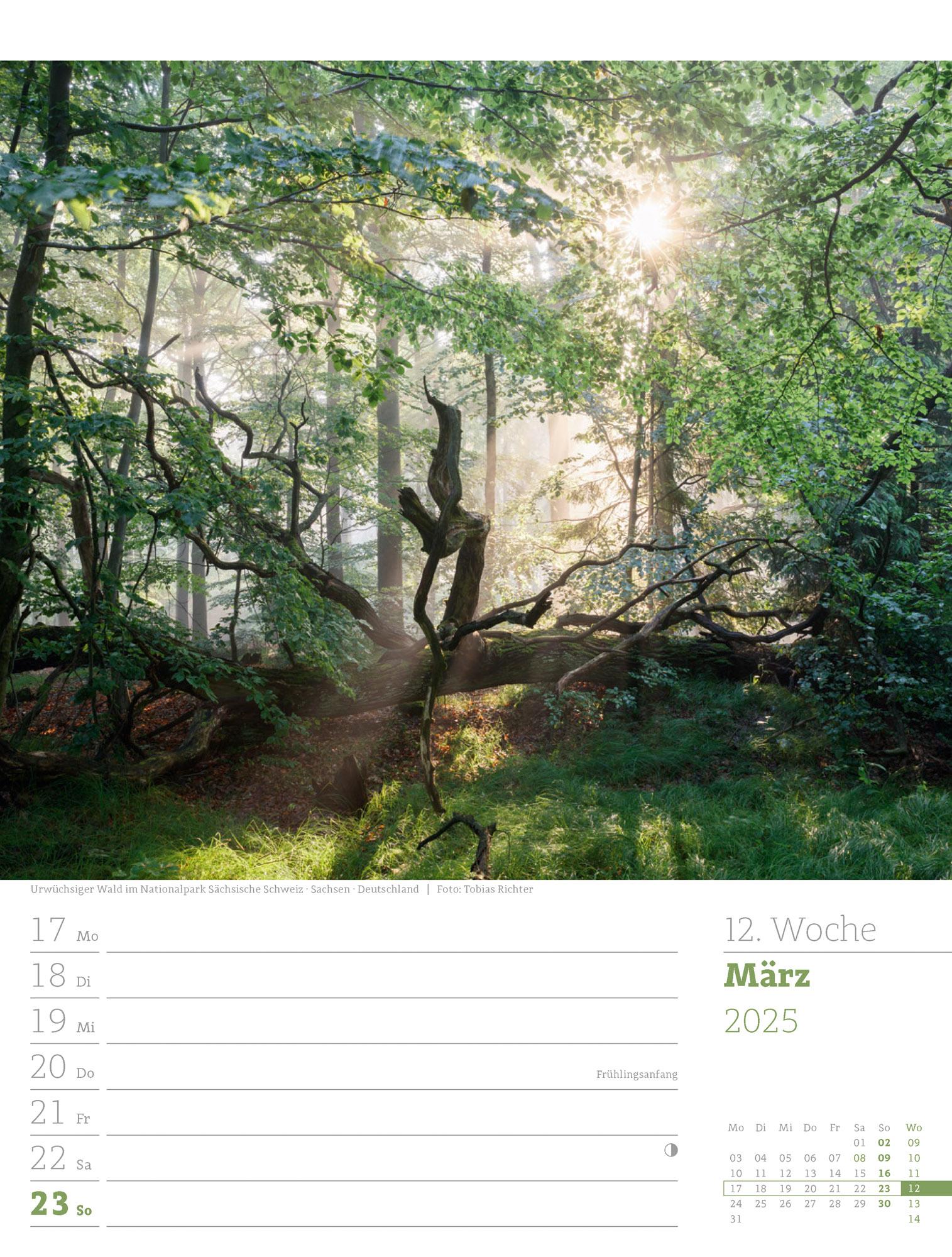 Unser Wald - Wochenplaner Kalender 2025