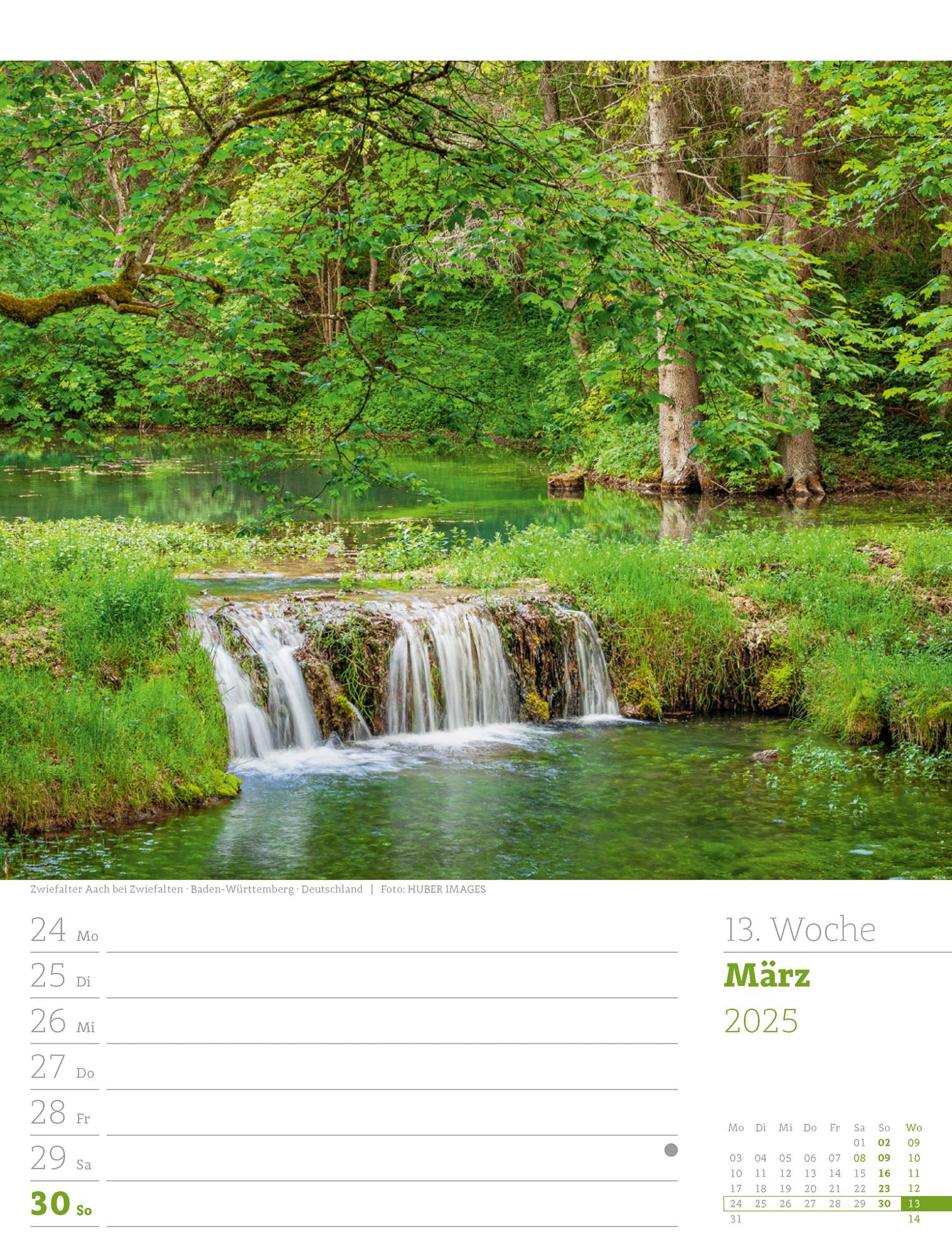 Unser Wald - Wochenplaner Kalender 2025