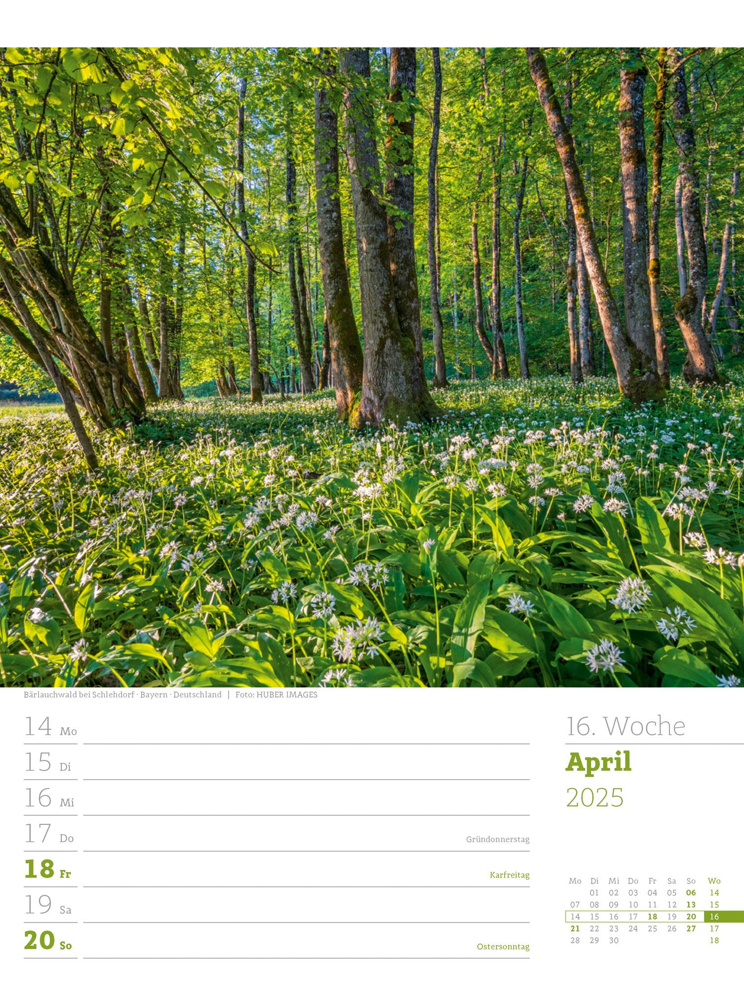 Unser Wald - Wochenplaner Kalender 2025