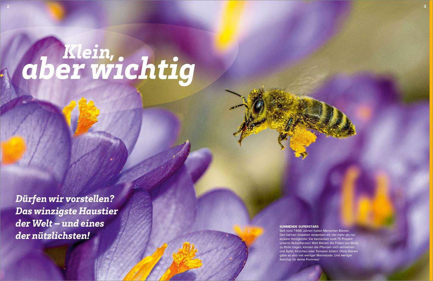 WAS IST WAS Bienen. Summende Genies