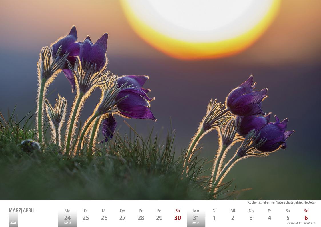 Die Eifel in Wort und Bild 2025 Bildkalender A4 quer, 28 Bilder auf 60 Seiten spiralgebunden