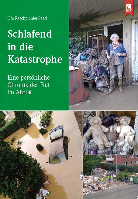 Schlafend in die Katastrophe