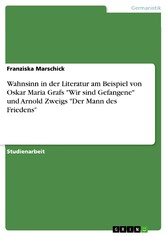 Wahnsinn in der Literatur am Beispiel von Oskar Maria Grafs 'Wir sind Gefangene' und Arnold Zweigs 'Der Mann des Friedens'