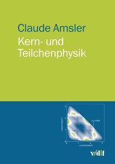 Kern- und Teilchenphysik