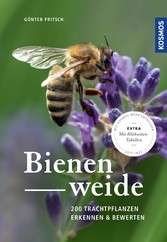 Bienenweide