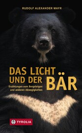 Das Licht und der Bär