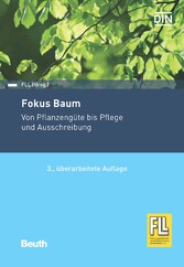 Fokus Baum