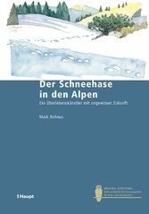 Der Schneehase in den Alpen